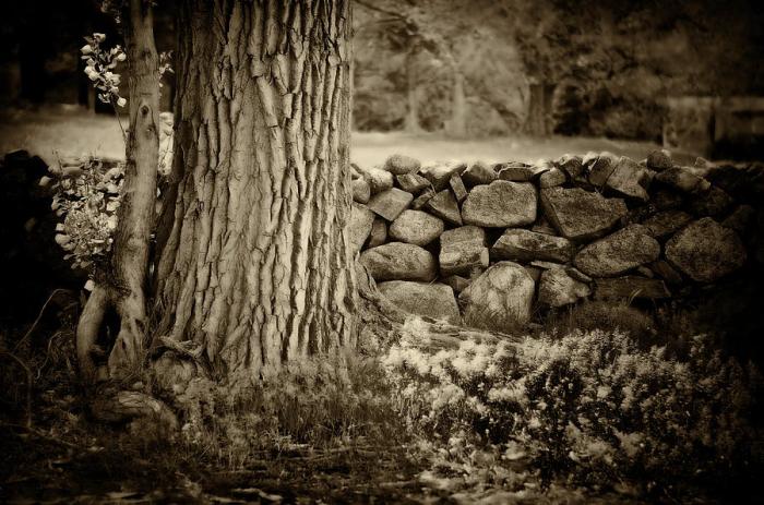 Arbor rock and wall landscaping